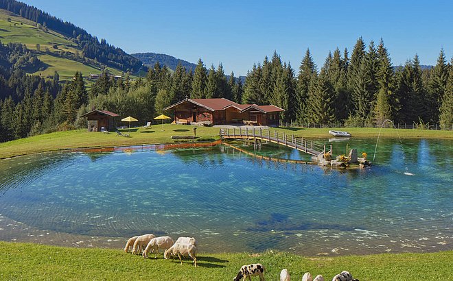 Alpine pasture